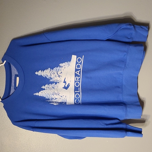 American Eagle Outfitters Tops - Never worn blue American Eagle sweatshirt